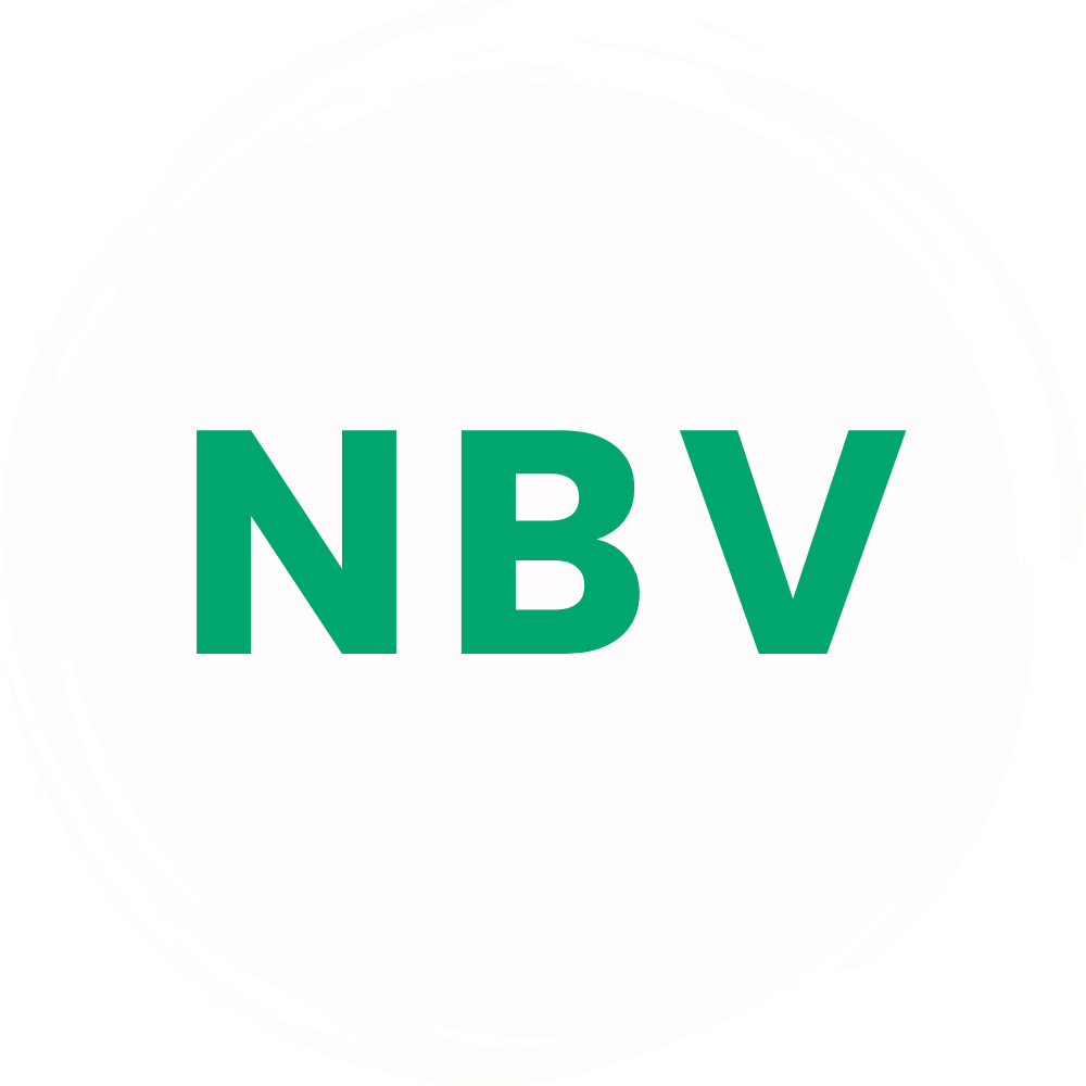 NBV Energia Logo